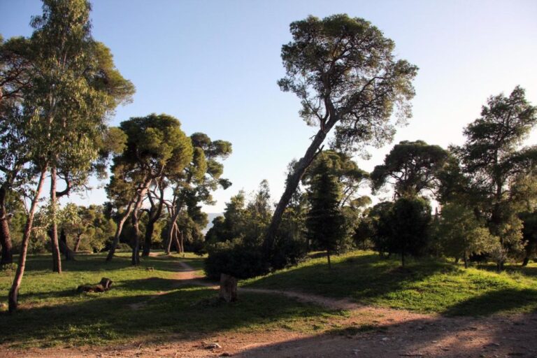 Παραιτήθηκε η πρόεδρος Ι.Γ.Ε. Άννα Μαρία Γιάντση