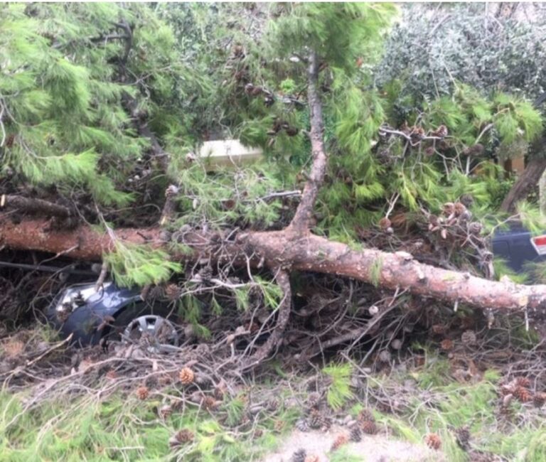 Διακοπές ρεύματος σε Μαρούσι και άλλες περιοχές των βορείων προαστίων λόγω της έντονης κακοκαιρίας