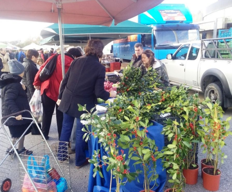 Η Χριστουγεννιάτικη 40η δράση αγροτικών προϊόντων του Δήμου Αμαρουσίου πόλος έλξης για εκατοντάδες καταναλωτές