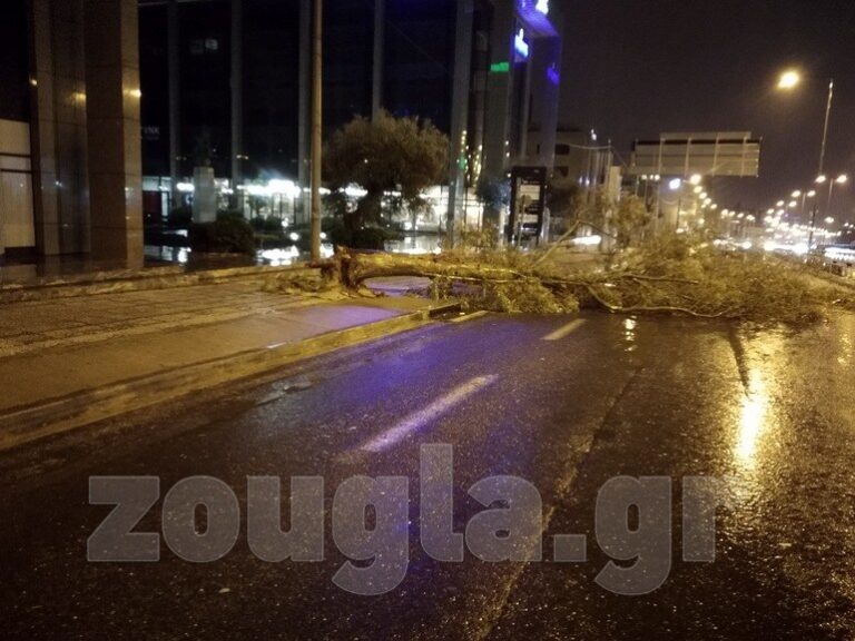 Πτώση δέντρου στην συμβολή των οδών Κηφισιάς με Γραβιάς στο Μαρούσι