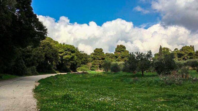 Σήμερα Δευτέρα 22/7 το Δάσος Συγγρού θα παραμείνει κλειστό για το κοινό.