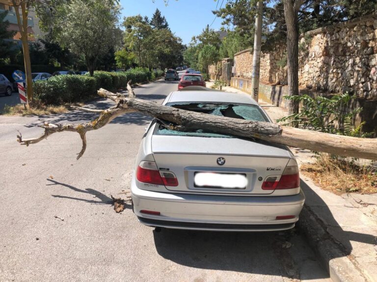 Πτώση κλαδιού σε αυτοκίνητο έξω από το δάσος Συγγρού στο Μαρούσι