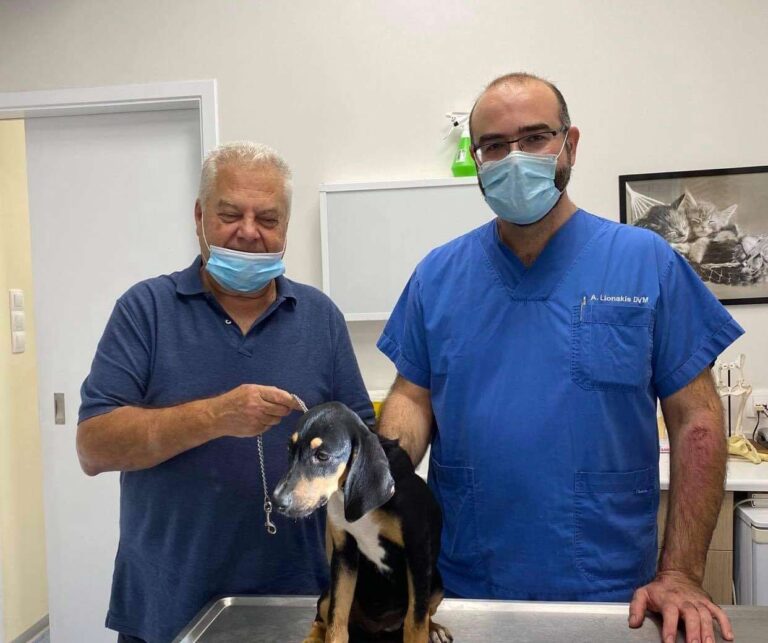 Ο αντιδήμαρχος Στέφανος Τσιπουράκης απαντά στο Σωματείο Φιλόζωων Αμαρουσίου