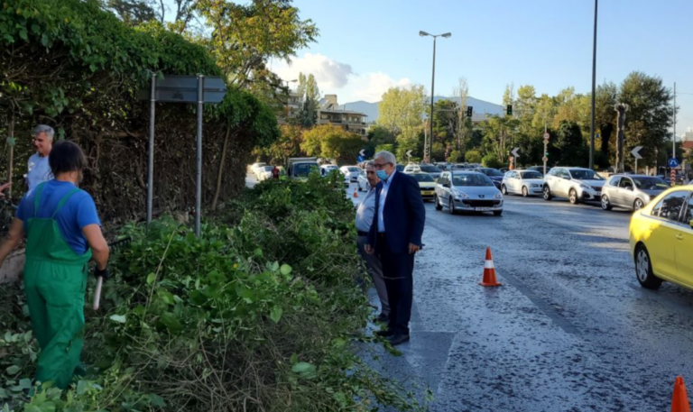 Eργασίες καθαρισμού του κτήματος Συγγρού επί της Λεωφόρου Κηφισίας