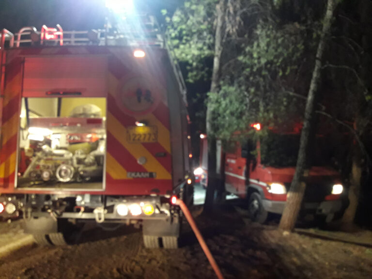 Πυρκαγιά εκδηλώθηκε την Κυριακή τα ξημερώματα στο δάσος Συγγρού