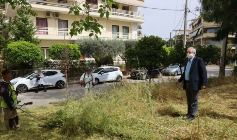 Απολυμάνσεις, Καθαριότητα και Συντήρηση Πρασίνου στην ημερήσια διάταξη του Δήμου Αμαρουσίου