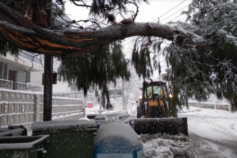 Αδιάκοπες οι προσπάθειες του Δήμου Αμαρουσίου για την απομάκρυνση των πεσμένων δέντρων