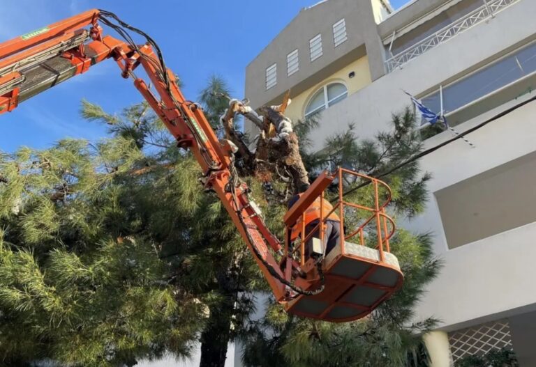 ΚΕΔΕ:  Οι Δήμοι δεν φέρουν ευθύνη για το κλάδεμα των δέντρων κατά μήκος των γραμμών μεταφοράς ενέργειας