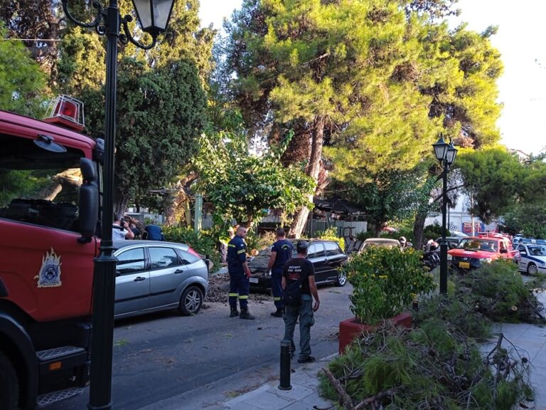 Δέντρο έπεσε σε αυτοκίνητο στην πλατεία Αγίας Λαύρας