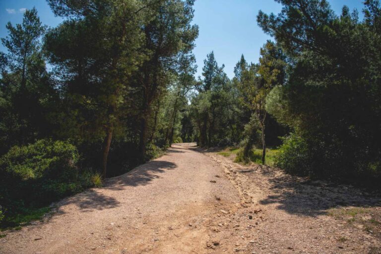 Την Τετάρτη 08 Σεπτεμβρίου το Δάσος Συγγρου θα είναι ΚΛΕΙΣΤΟ για το κοινό