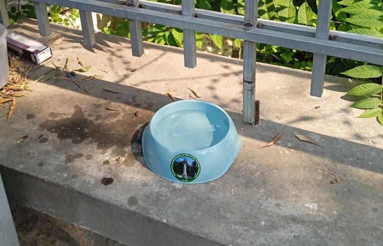 40 ποτίστρες σε όλη την πόλη από τον Περιβαλλοντικό, Φιλοζωικό και Πολιτιστικό Σύλλογος Αμαρουσίου