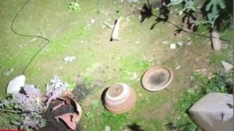 Απίστευτο! Διαρρήκτες στο Μαρούσι πετούσαν γλάστρες σε αστυνομικούς για να αποφύγουν τη σύλληψη