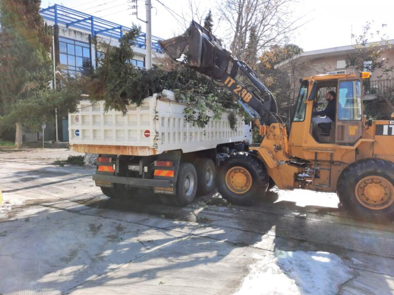 Ο Δήμος στο πλευρό των Δημοτών και της εκπαιδευτικής κοινότητας – Συνεχίζεται η αποκομιδή κλαδιών&ογκωδών
