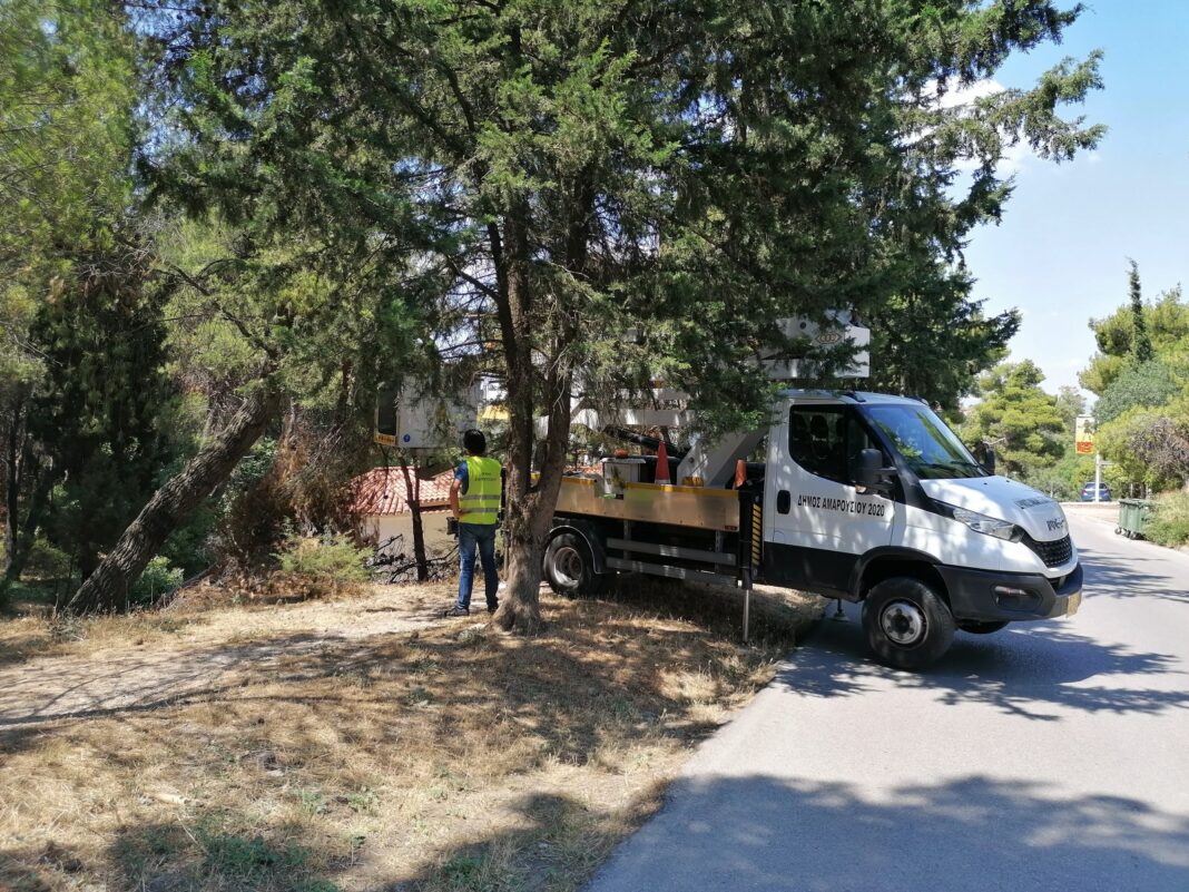 Αποψίλωση κοπή κλαδιών