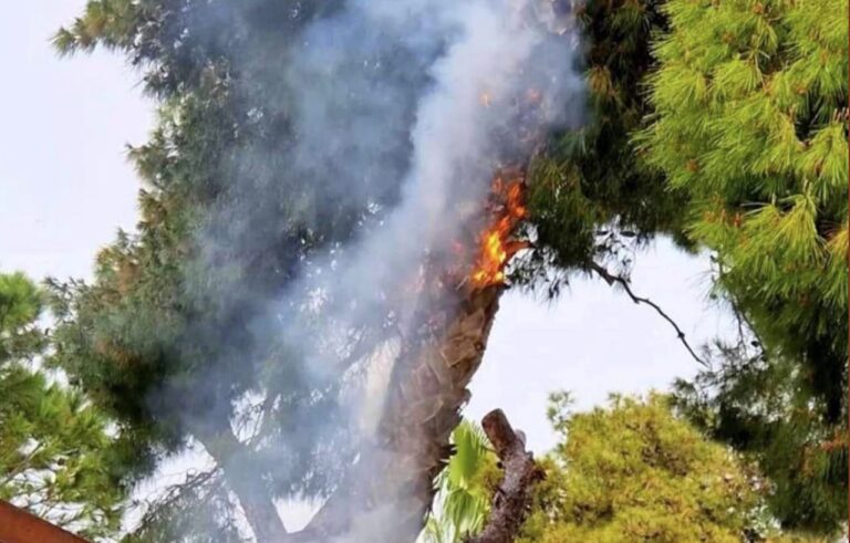 Δέντρο πήρε φωτιά από κεραυνό στην πλατεία Ηρώων Αμαρουσίου