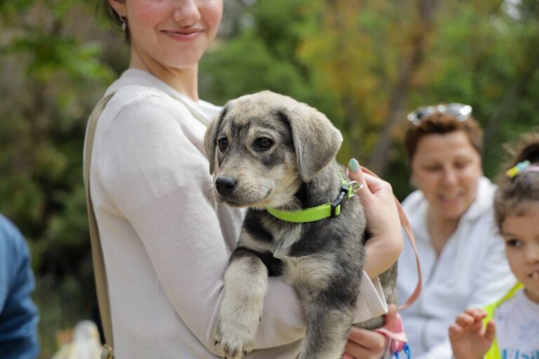 Πραγματοποιήθηκε με επιτυχία η Γιορτή Υιοθεσίας Αδέσποτων ζώων στο θεατράκι του Δάσους Συγγρού