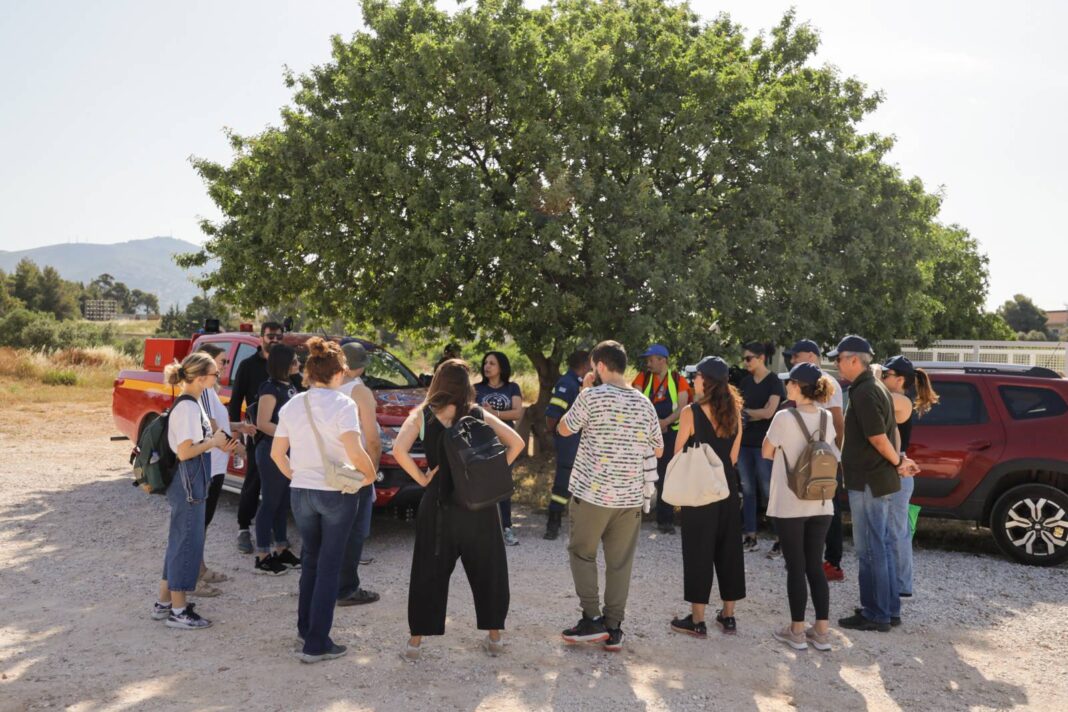 Καθαρισμός Κτήματος Καρέλλα