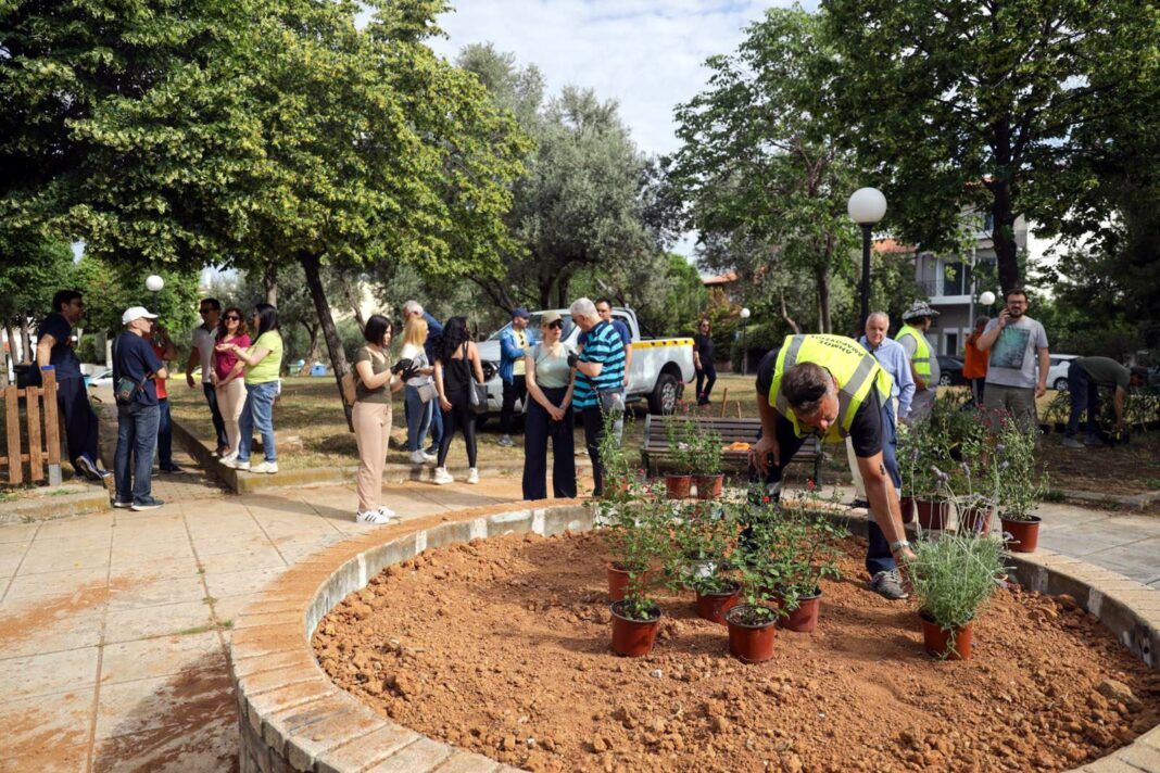 Καλλωπισμός πάρκων