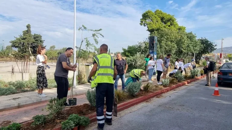 Νέες φυτεύσεις φυτών και δένδρων στον ποδηλατοδρόμο του Πολύδροσου