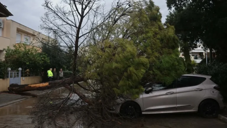 Μαρούσι:Πτώση δέντρων-καταστράφηκαν αυτοκίνητα(+φωτός)