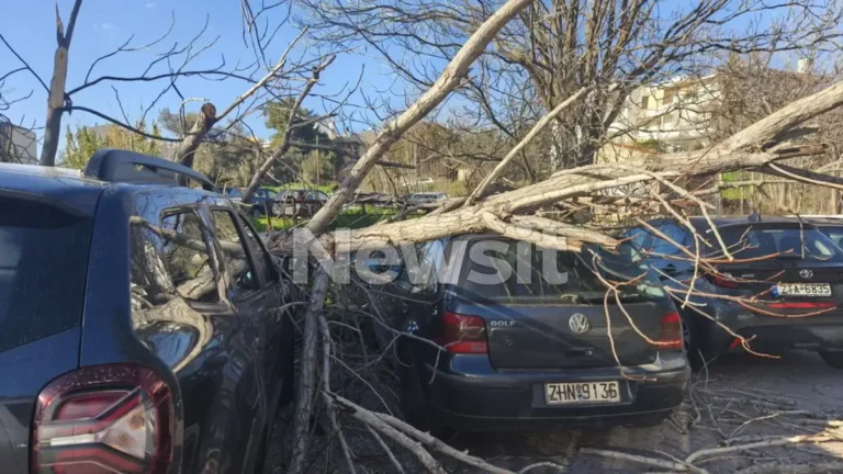 Μαρούσι: Δέντρο ξεριζώθηκε και καταπλάκωσε σταθμευμένα αυτοκίνητα εξαιτίας των ισχυρών ανέμων