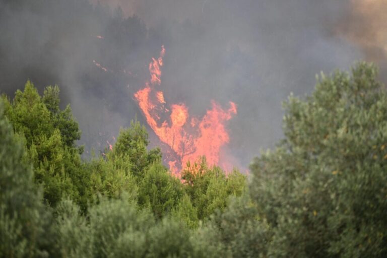 Μαρούσι:Σύλληψη για πυρκαγιά απο αμέλεια